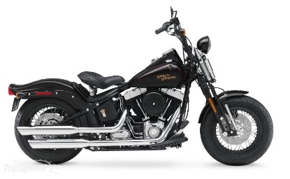 Jenis Moge Harley Davidson