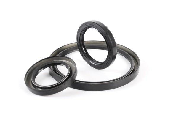 Oil Seal
